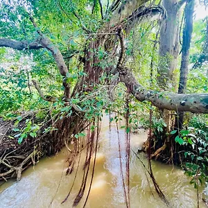 River Side , Sigirija Sri Lanka